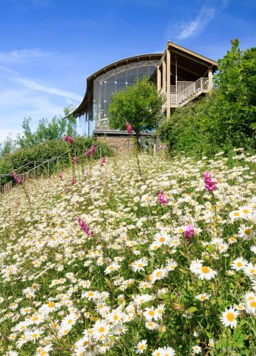 A glass fronted wildlife centre surrounded by wildflowers.
